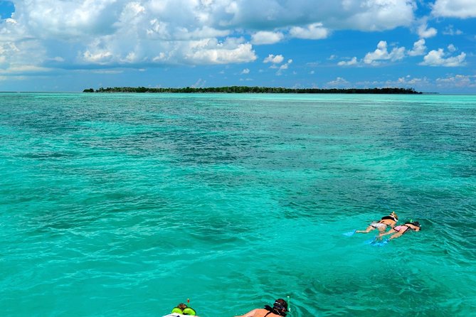 Key West Dolphin Watch and Snorkel Tour - Eco Adventure - What this Key West cruise really offers