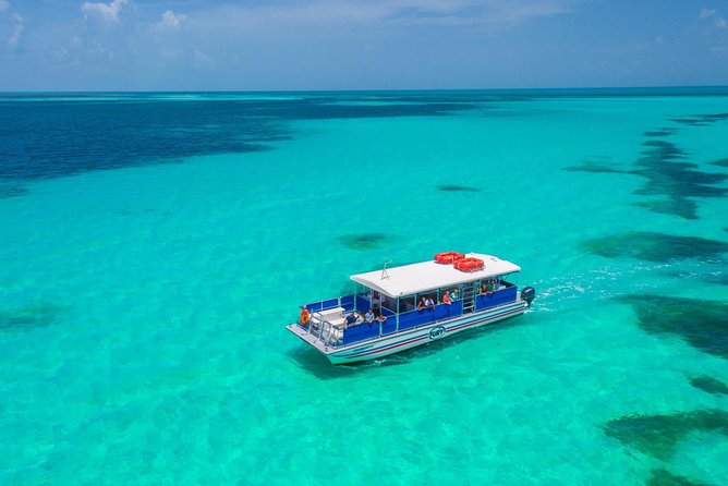 Key West Dolphin Watch and Snorkel Tour - Eco Adventure - Instruction helps first-time snorkelers