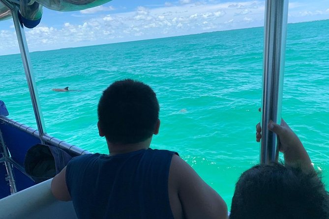 Key West Dolphin Watch and Snorkel Tour - Eco Adventure - Drinks, snacks, and what to bring