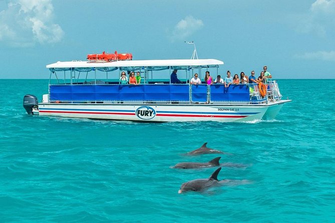 Key West Dolphin Watch and Snorkel Tour - Eco Adventure - Meeting at Greene Street in Old Key West