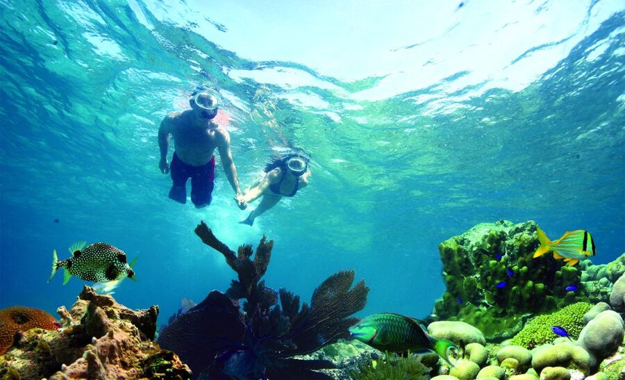 Key West: Dolphin Watching and Snorkeling Eco Cruise Tour - A three-hour Key West trip with two very different moods