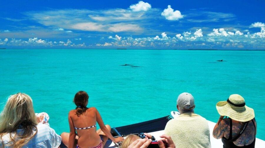 Key West: Dolphin Watching and Snorkeling Eco Cruise Tour - Cruising toward bottlenose dolphins