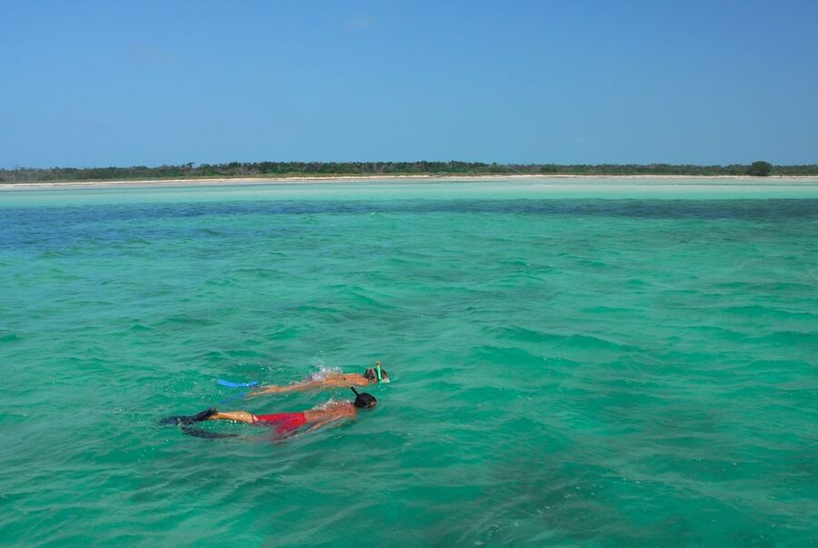 Key West: Dolphin Watching and Snorkeling Eco Cruise Tour - Snorkeling in the Key West backcountry
