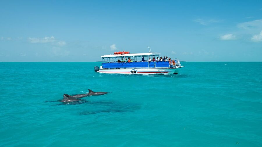 Key West: Dolphin Watching and Snorkeling Eco Cruise Tour - The ride back, drinks, and sunset timing