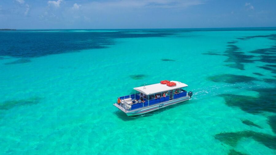 Key West: Dolphin Watching and Snorkeling Eco Cruise Tour - Guides make the difference