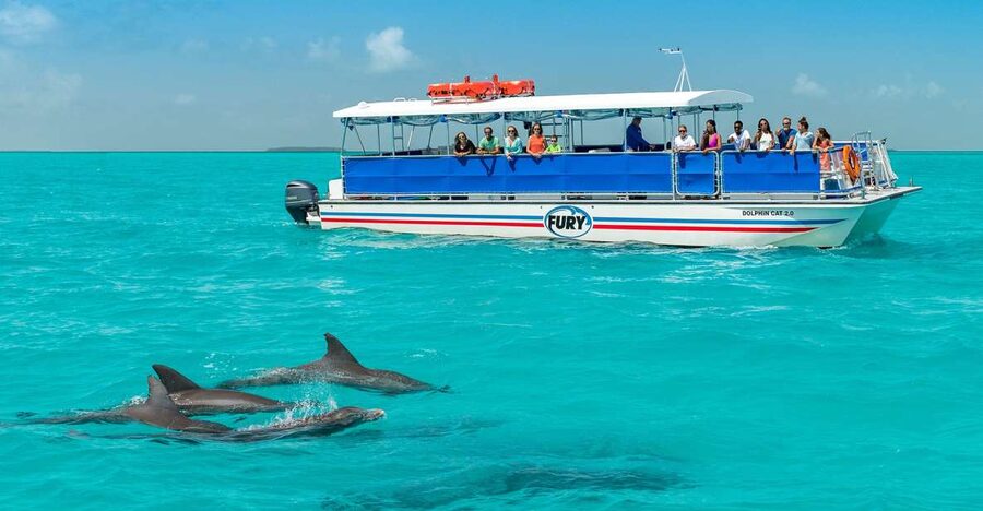 Key West: Dolphin Watching and Snorkeling Eco Cruise Tour - Practical ways to improve your day