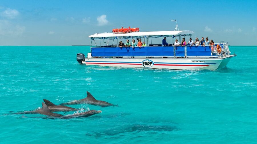 Key West: Dolphin Watching and Snorkeling Eco Cruise Tour - Meeting the boat in downtown Key West
