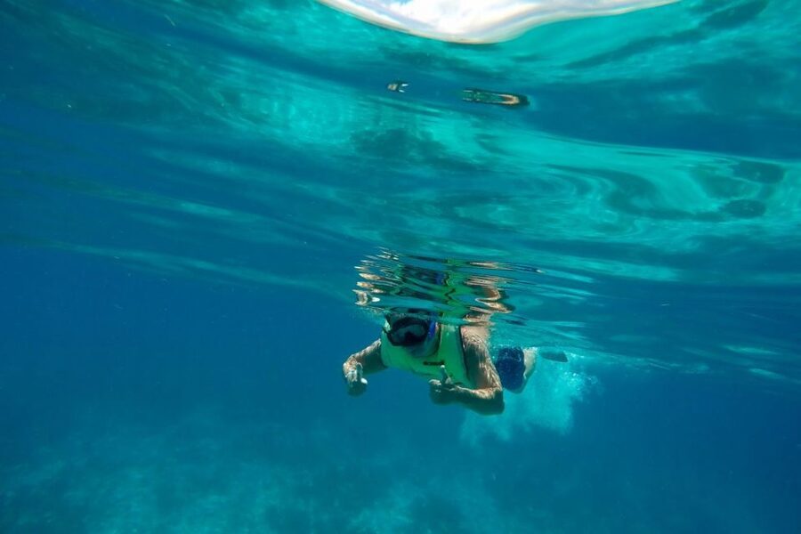 Key West: Dolphin Watching and Snorkeling Sunset Cruise - Who should book this cruise?