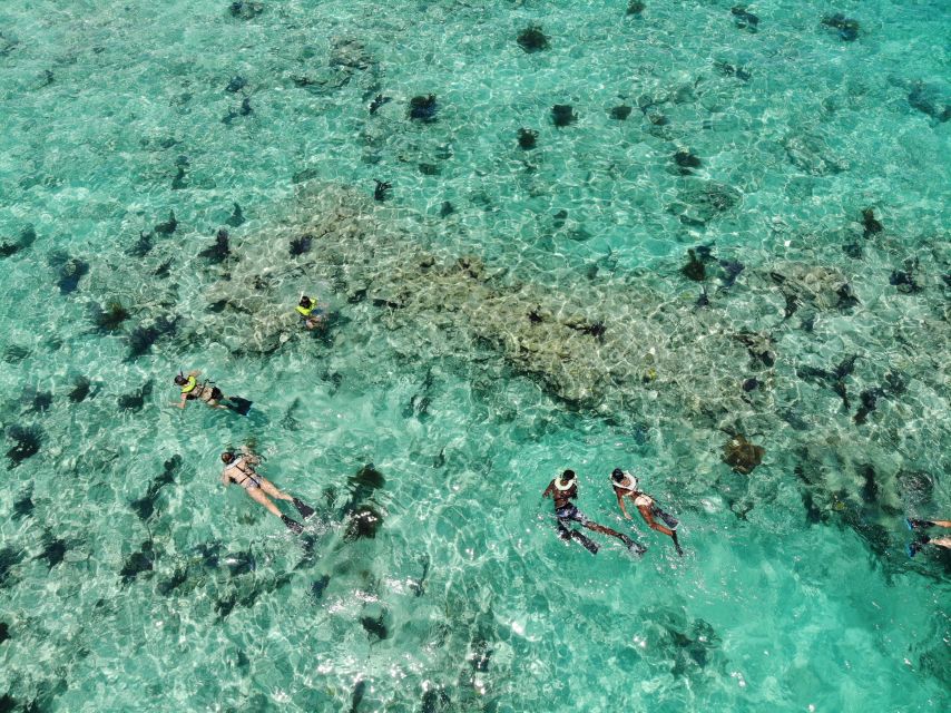 Key West: Dolphin Watching and Snorkeling Sunset Cruise - Why this three-hour cruise works so well
