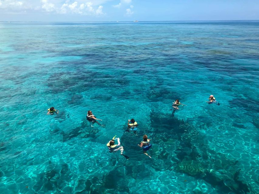 Key West: Dolphin Watching and Snorkeling Sunset Cruise - Cottrell Key and the Key West National Wildlife Refuge
