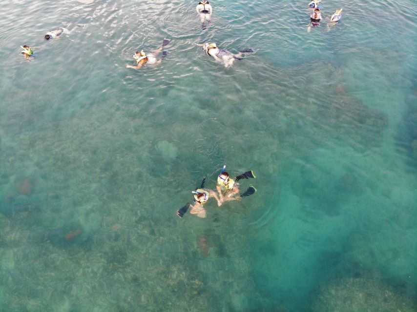 Key West: Dolphin Watching and Snorkeling Sunset Cruise - Crew, safety, and the human side of the outing