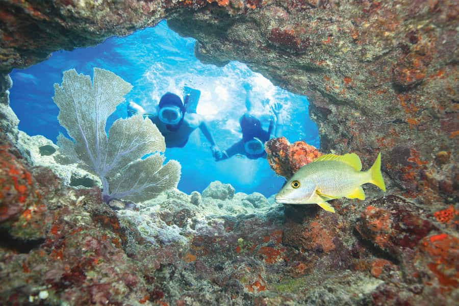 Key West Double Dip: 2-Stop Reef Snorkeling Trip - What two snorkeling stops really add