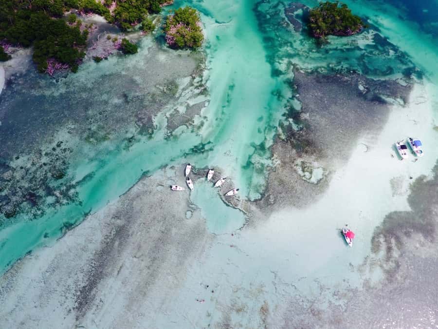 Key West: Eco Safari Sandbar Tour with Snorkeling - Key points to know before you book