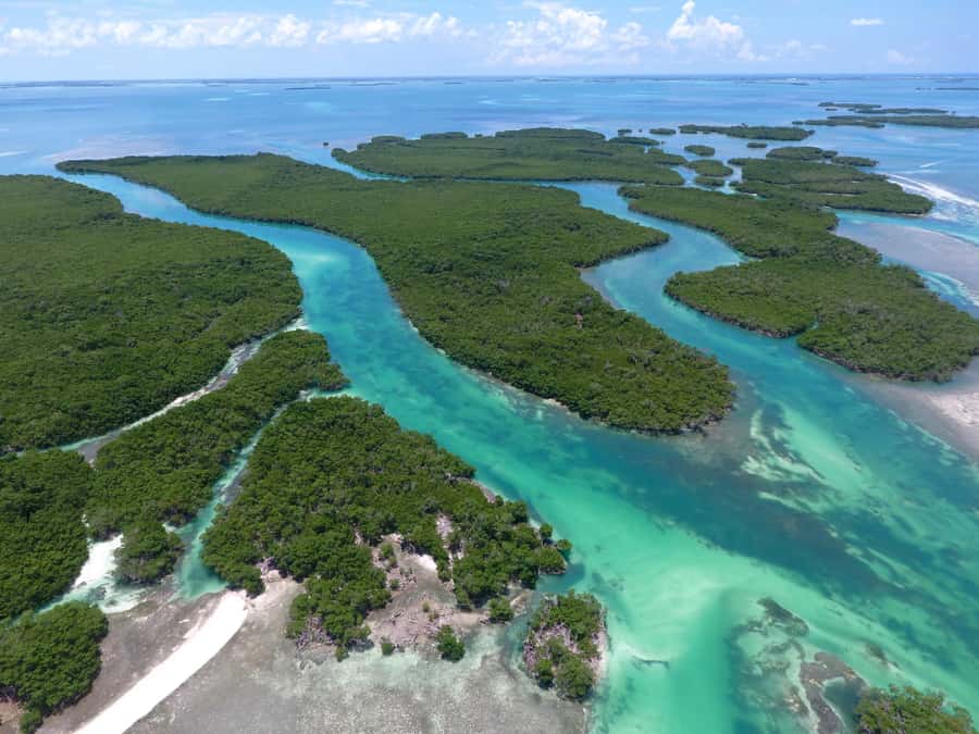 Key West: Eco Safari Sandbar Tour with Snorkeling - Starting at Cow Key Marina on Stock Island