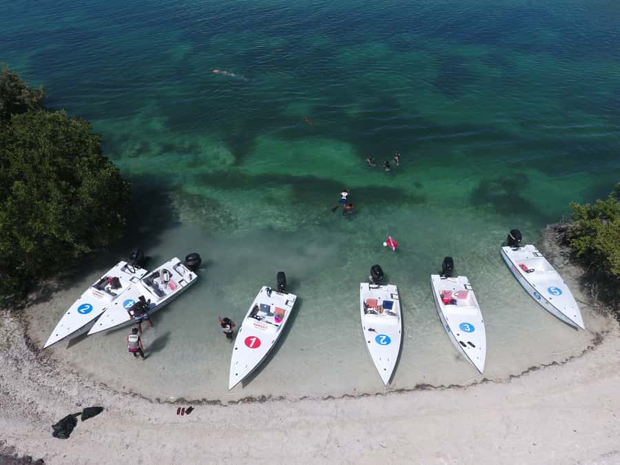 Key West: Eco Safari Sandbar Tour with Snorkeling - Entering the Key West mangrove maze