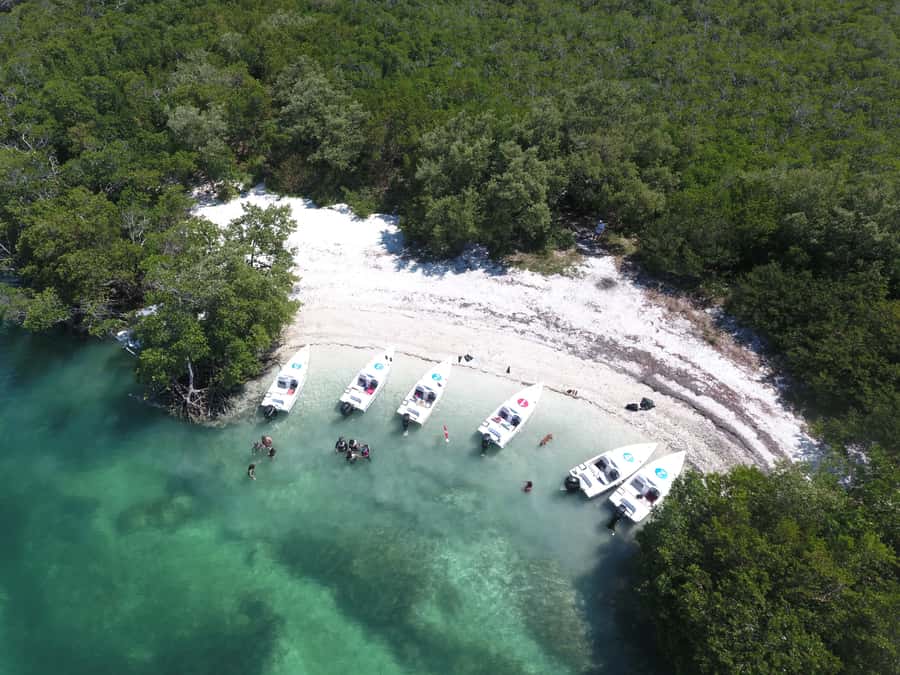 Key West: Eco Safari Sandbar Tour with Snorkeling - Mud Key and the sandbar pause