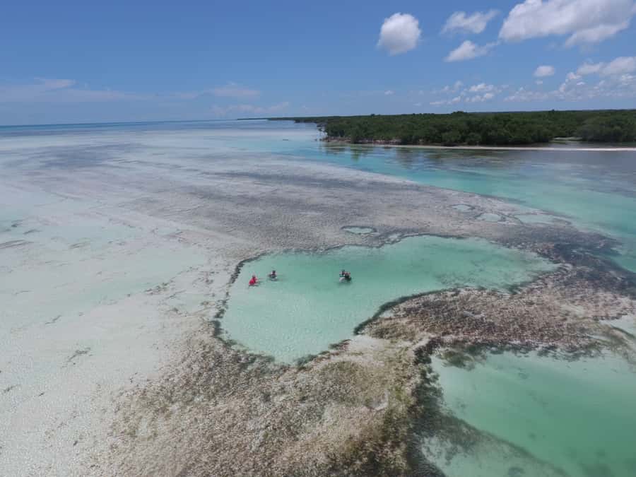 Key West: Eco Safari Sandbar Tour with Snorkeling - What the $178 price really includes