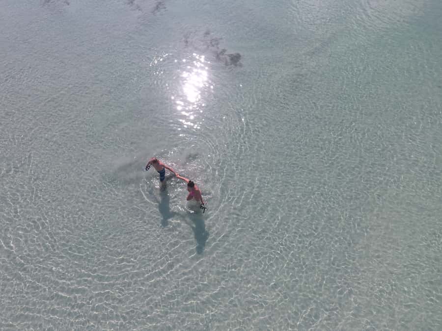 Key West: Eco Safari Sandbar Tour with Snorkeling - Who will enjoy this outing most