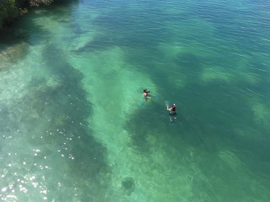 Key West: Eco Safari Sandbar Tour with Snorkeling - Boating rules, timing, and practical preparation