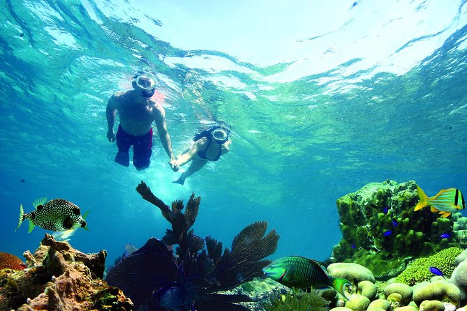 Key West Reef Snorkel – Morning Mimosas or Afternoon Margaritas - Entering the water from the stairway to the sea