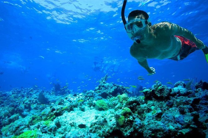 Key West Reef Snorkel – Morning Mimosas or Afternoon Margaritas - Should you book the morning or afternoon departure?