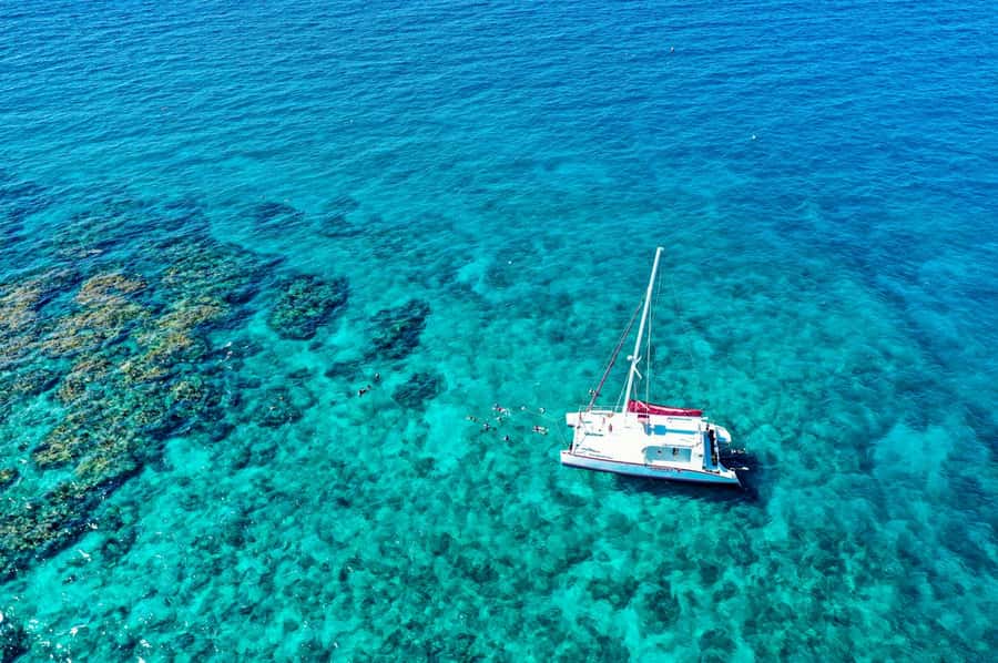 Key West: Reef Snorkel Morning Tour with Breakfast & Mimosas - My verdict on the Key West reef trip