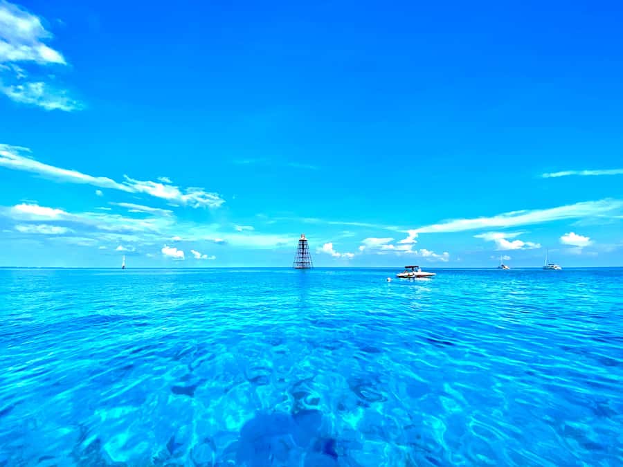Key West: Reef Snorkel Morning Tour with Breakfast & Mimosas - Leaving 201 William Street for open water