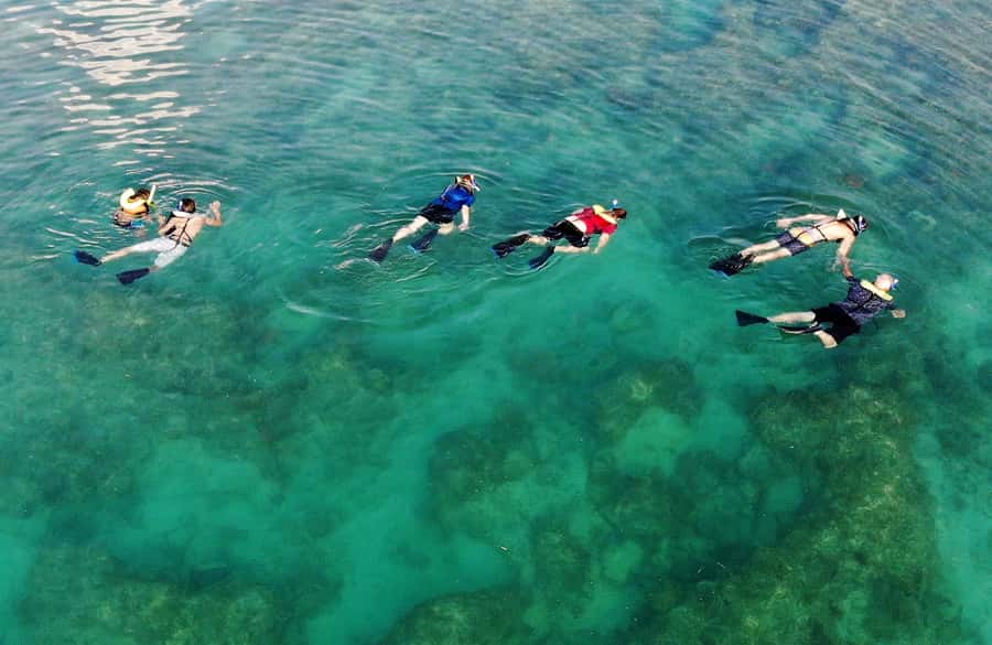 Key West: Reef Snorkel Morning Tour with Breakfast & Mimosas - What you may see at the reef