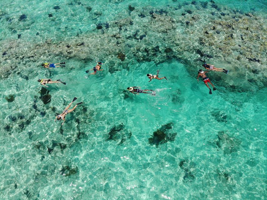 Key West: Reef Snorkel Morning Tour with Breakfast & Mimosas - Is $54 a good price?