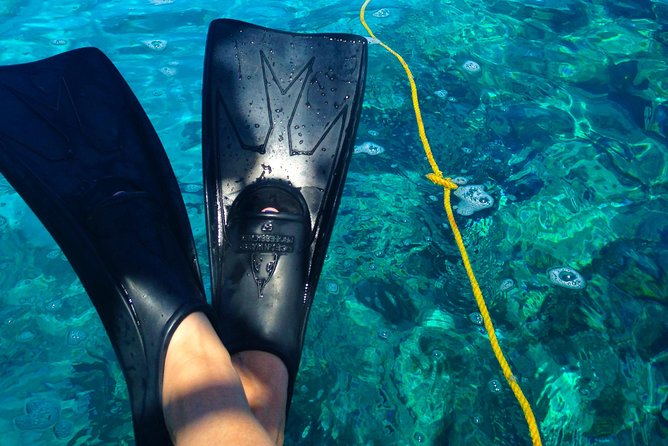 Key West Reef Snorkel & Sail Adventure - Sailing out from Hyatt Centric Key West