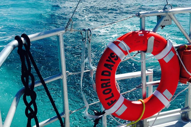 Key West Reef Snorkel & Sail Adventure - The reef stop and what you may see