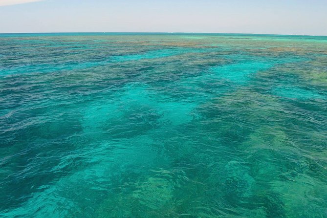 Key West Reef Snorkel & Sail Adventure - Weather, sea conditions, and realistic expectations