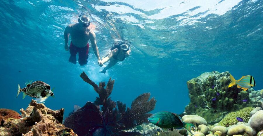 Key West: Reef Snorkeling with Drinks and Sunset Option - Leaving Opal Key Marina on a 65-foot catamaran
