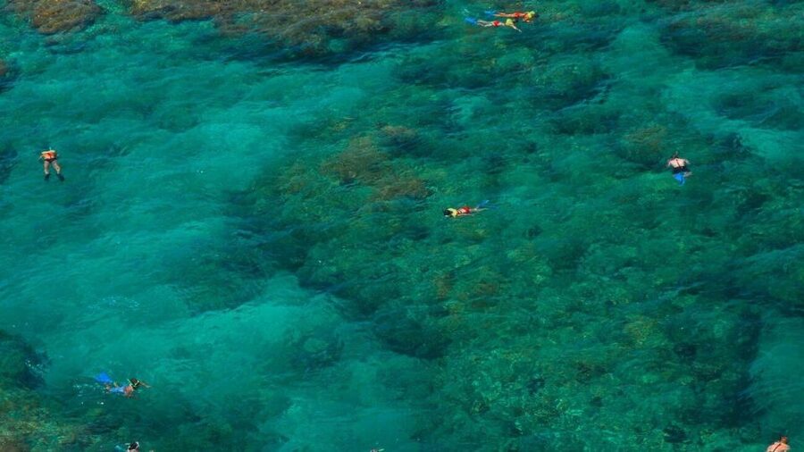 Key West: Reef Snorkeling with Drinks and Sunset Option - Drinks come after the water, not before