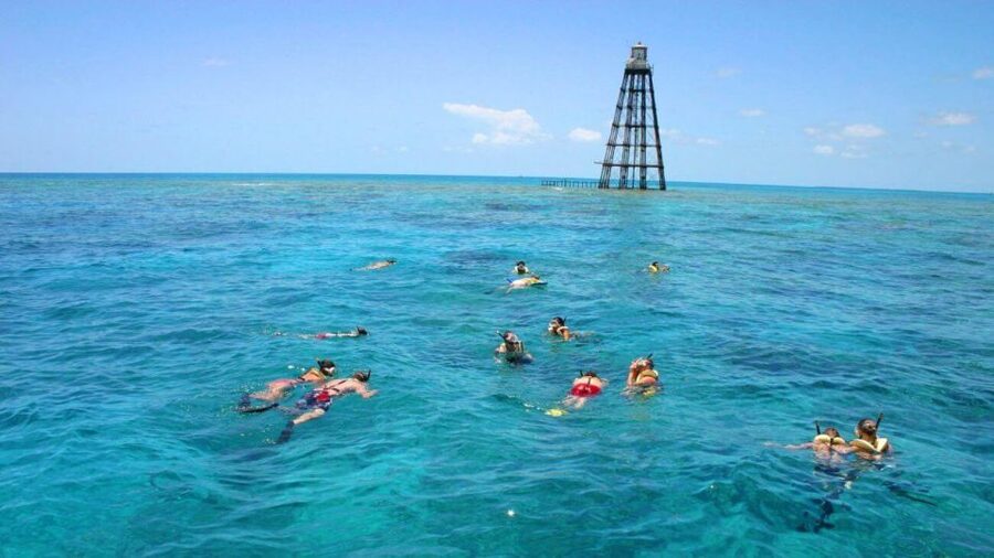 Key West: Reef Snorkeling with Drinks and Sunset Option - Choosing between morning, afternoon, and sunset
