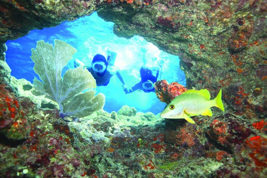 Key West: Reef Snorkeling with Drinks and Sunset Option - Who should book this Key West outing?