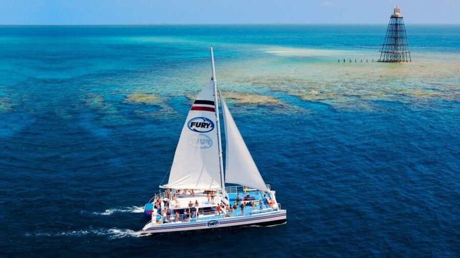 Key West: Reef Snorkeling with Drinks and Sunset Option - What the reef stop is really like