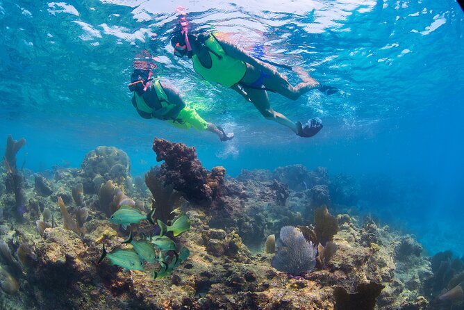 Key West Rum and Reggae: Reef Snorkel Adventure and Sunset Sail - Crew support is a major part of the value