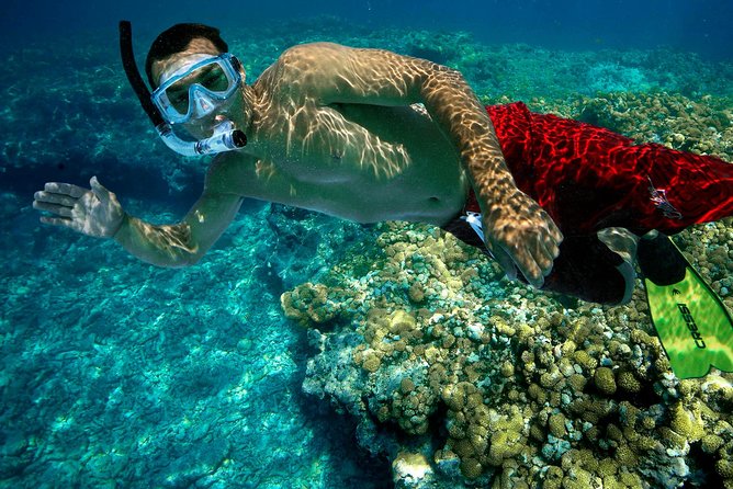 Key West Rum and Reggae: Reef Snorkel Adventure and Sunset Sail - The ride to Key West’s living reef