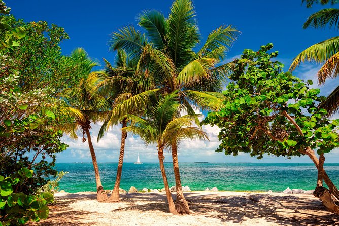 Key West Sail and Snorkel with Hotel Transportation from Miami - Who gets the best value from this trip