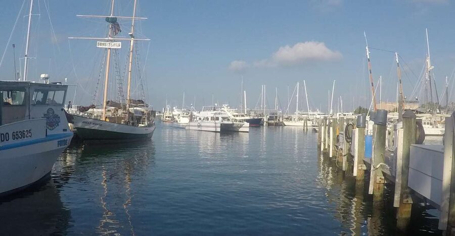 Key West Tour and Coral Reef Snorkeling with Open Bar - Five things to know before booking