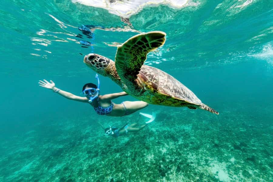 Khao Lak: Similan Islands Snorkeling Day Trip w/Meals - Practical packing advice for the boat