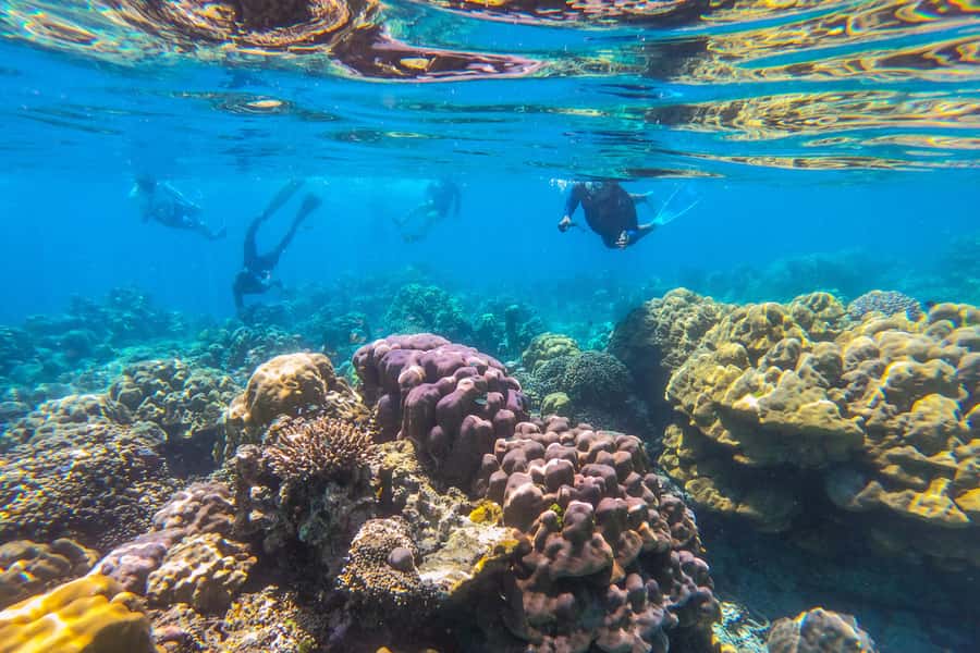 Khao Lak: Similan Islands Snorkeling Day Trip w/Meals - The speedboat ride past Sailboat Rock and Donald Duck Bay