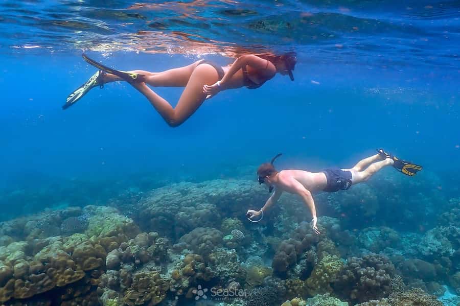 Khao Lak: Surin Islands & Moken Village Premium Snorkel Tour - An early start at Baan Nam Kem Pier