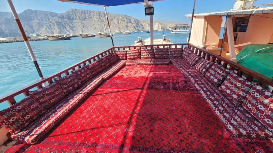 Khasab: Half-Day Dhow Cruise, Dolphin Watching, & Snorkeling - Timing, pickup, and language