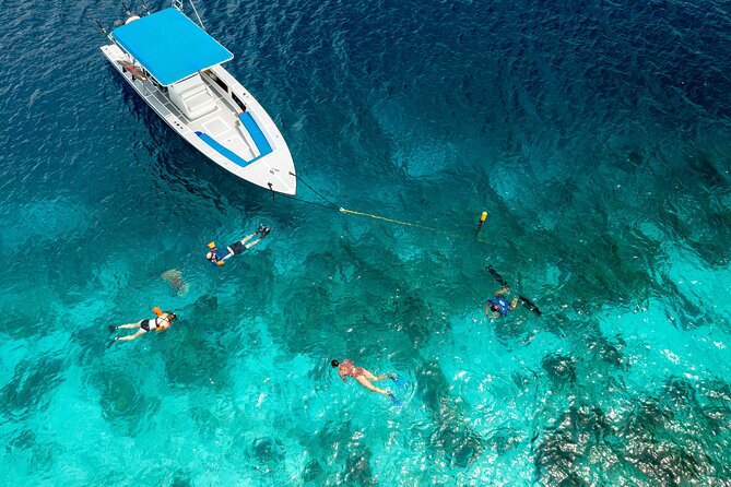 Klein Bonaire Marine Park Snorkeling Excursion - Timing, pickup, and the practical details