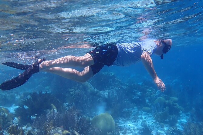 Klein Bonaire Marine Park Snorkeling Excursion - Who will enjoy this Bonaire snorkeling trip?