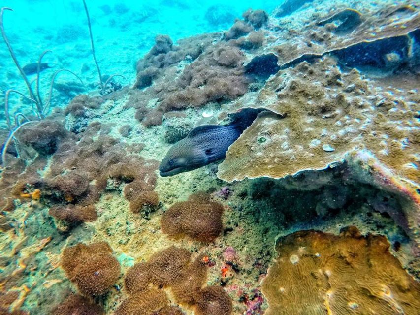 Ko Lanta: 4 Islands Snorkeling Tour by Longtail Boat - Starting from Koh Lanta’s Old Town