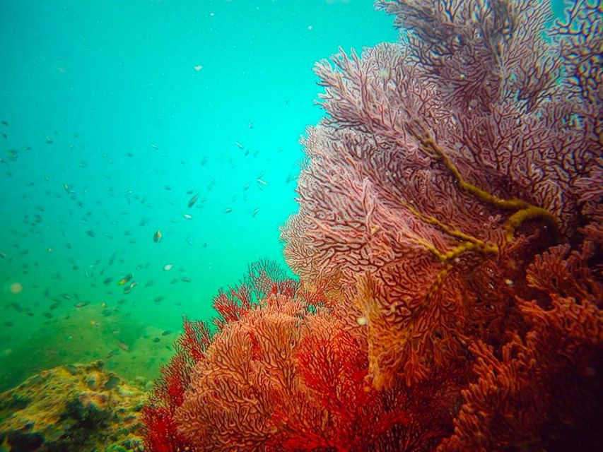 Ko Lanta: 4 Islands Snorkeling Tour by Longtail Boat - Koh Ngai turns the trip into a beach day