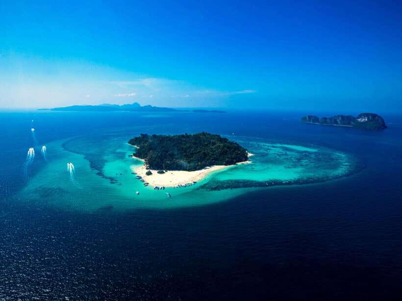 Ko Lanta: Full-Day Snorkel Trip to Phi Phi & Bamboo Islands - Snorkeling at Maya Bay and Loh Moo Dee Bay